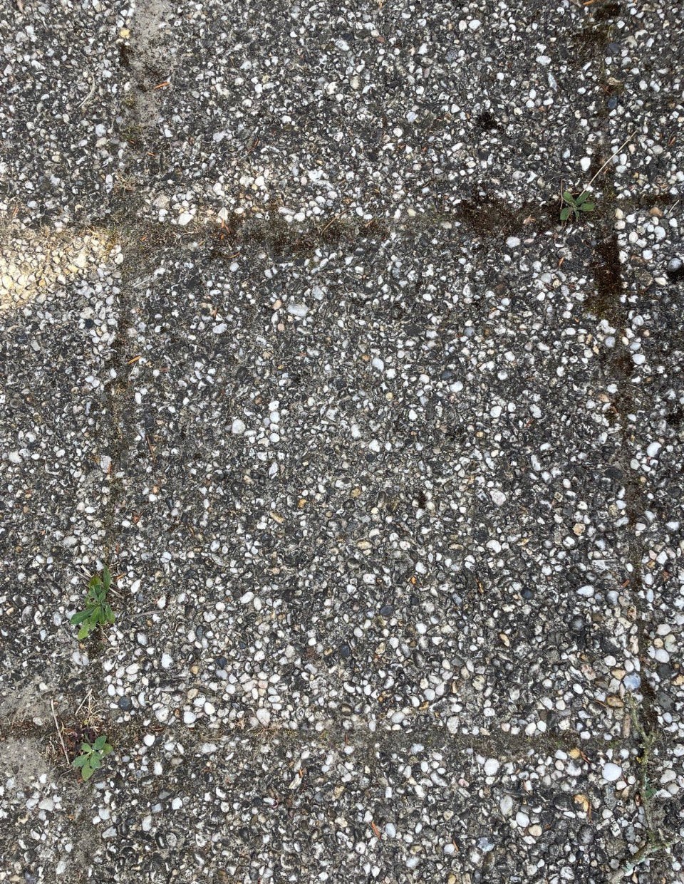 Gratis 50 Grindtegels 50x50cm, Ophalen, Gebruikt, 10 m² of meer, Beton