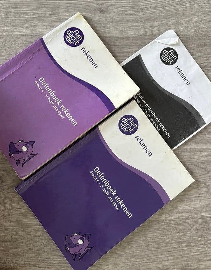 Cito Oefenboeken rekenen groep 6, Ophalen of Verzenden, Beta, Gelezen, Overige niveaus