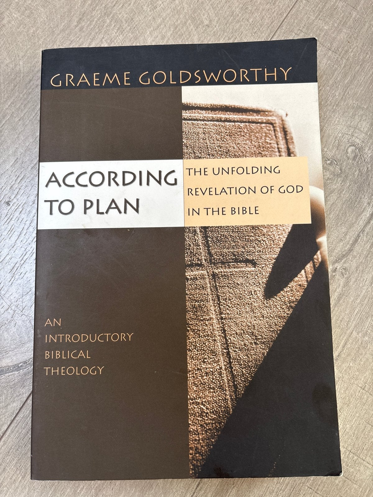 According to Plan: An Introductory Biblical Theology, Boeken, Ophalen of Verzenden, Zo goed als nieuw, Christendom | Protestants