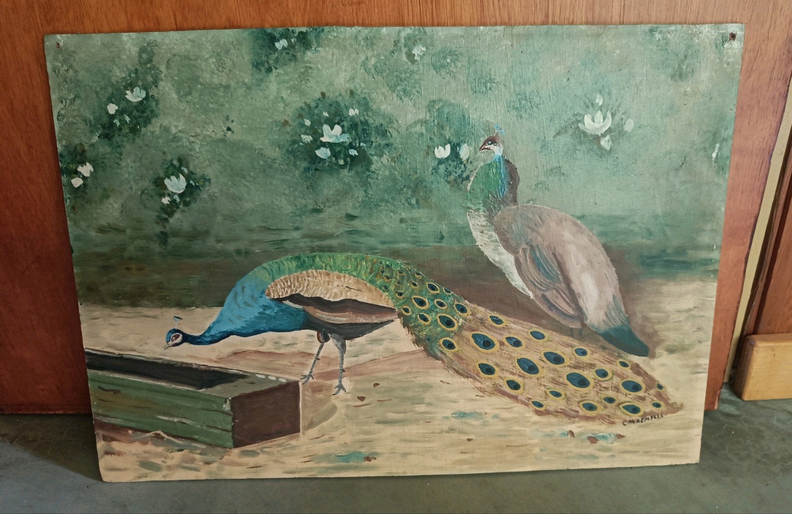 Schilderij van twee pauwen, Antiek en Kunst, Dieren, Ophalen of Verzenden, Handgeschilderd, Paneel