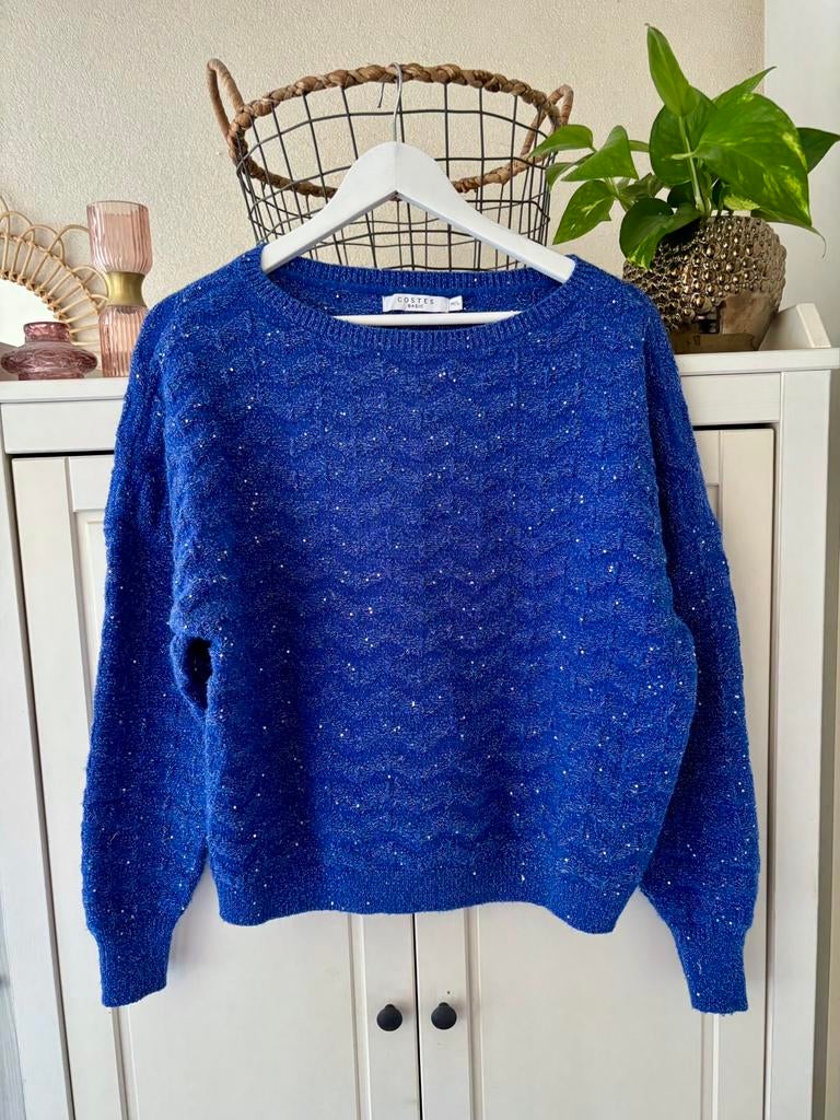 Costes trui maat M/L, Kleding | Dames, Truien en Vesten, Ophalen of Verzenden, Zo goed als nieuw, Maat 38/40 (M), Blauw