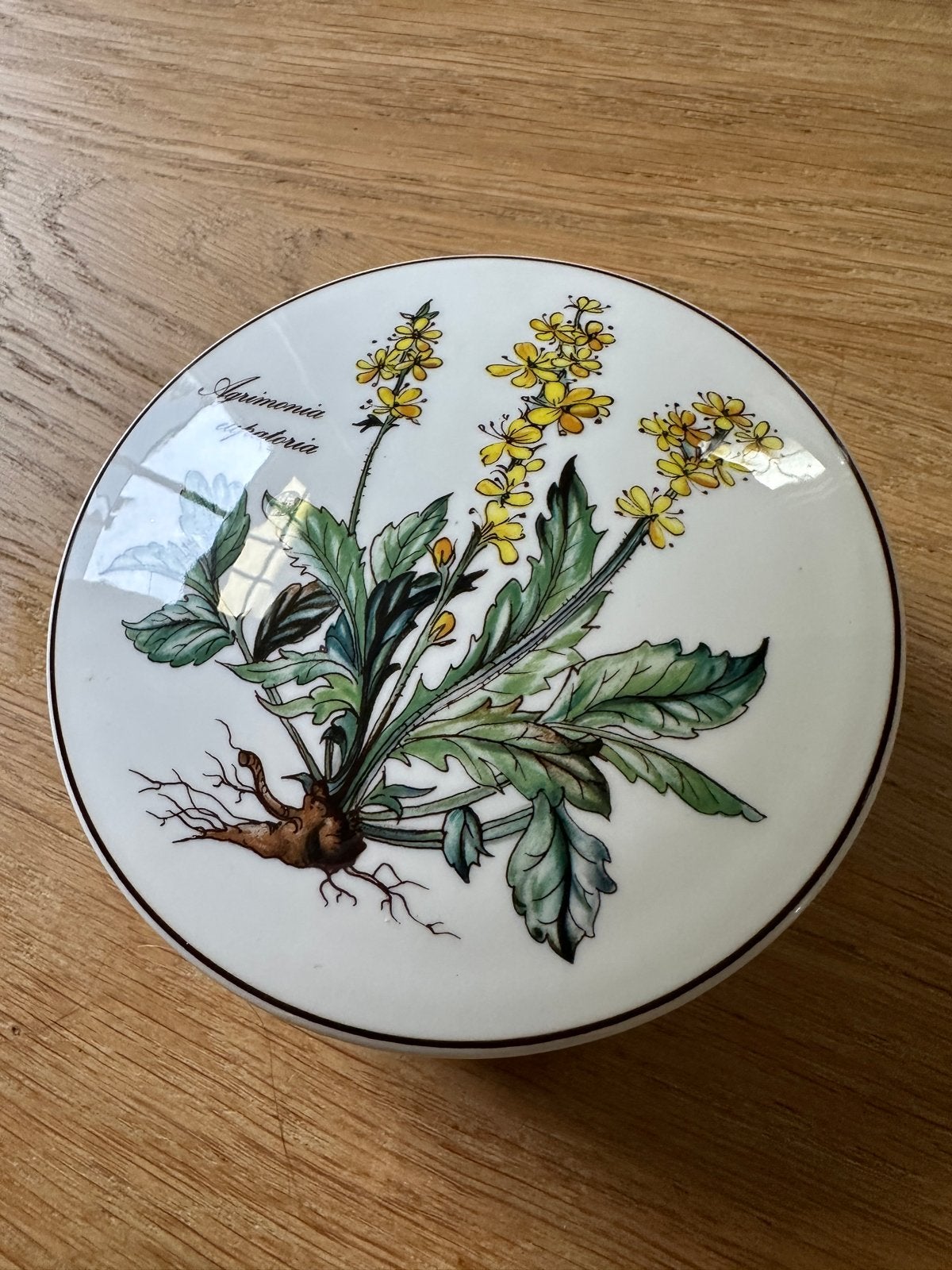 Villeroy & Boch Botanica potje met deksel - 12,5 cm, Ophalen of Verzenden, Nieuw, Porselein, Overige typen
