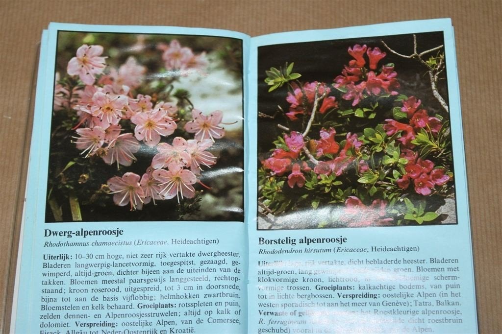 Elseviers natuurkompas. Alpenbloemen. Herkennen..., Ophalen of Verzenden, Gelezen, Bloemen, Planten en Bomen