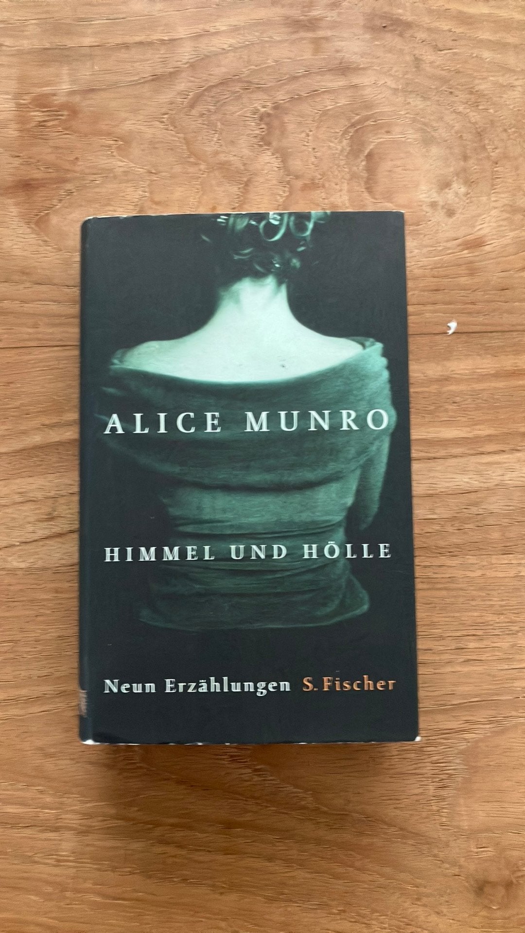 Alice Munro - Himmel und Hölle, Ophalen of Verzenden, Zo goed als nieuw