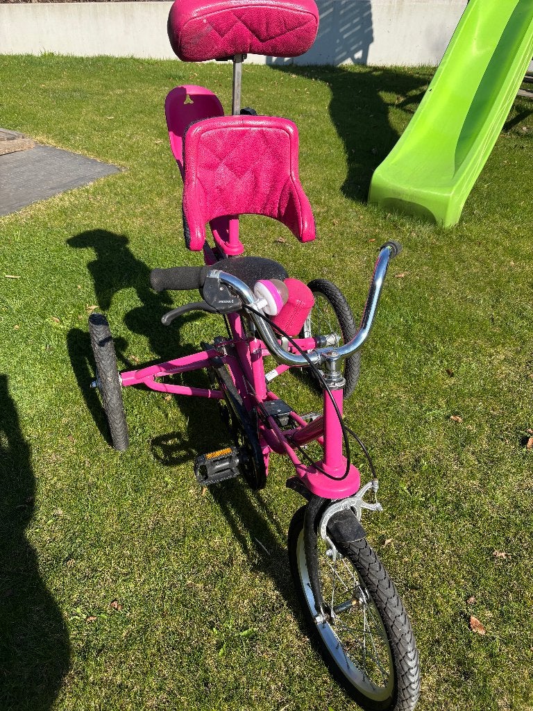 Tomcat driewieler, fiets voor kinderen met een beperking, Ophalen, Gebruikt, Tomcat, Duwstang