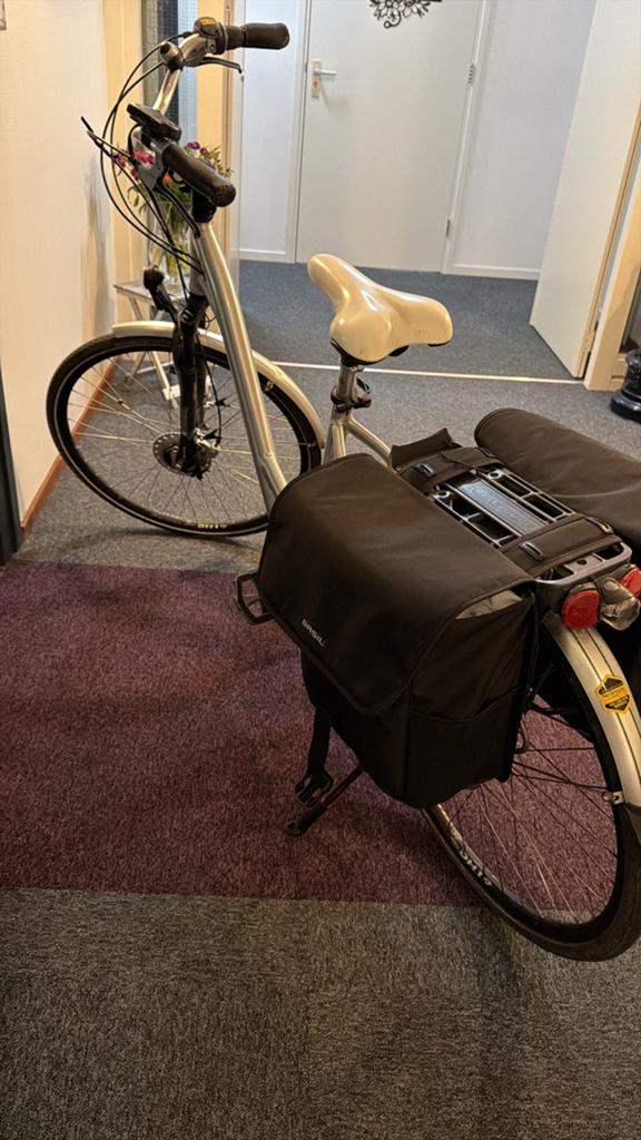 Goed onderhouden Flyer dames fiets compleet E-Bike, Ophalen of Verzenden, Gebruikt, Overige merken