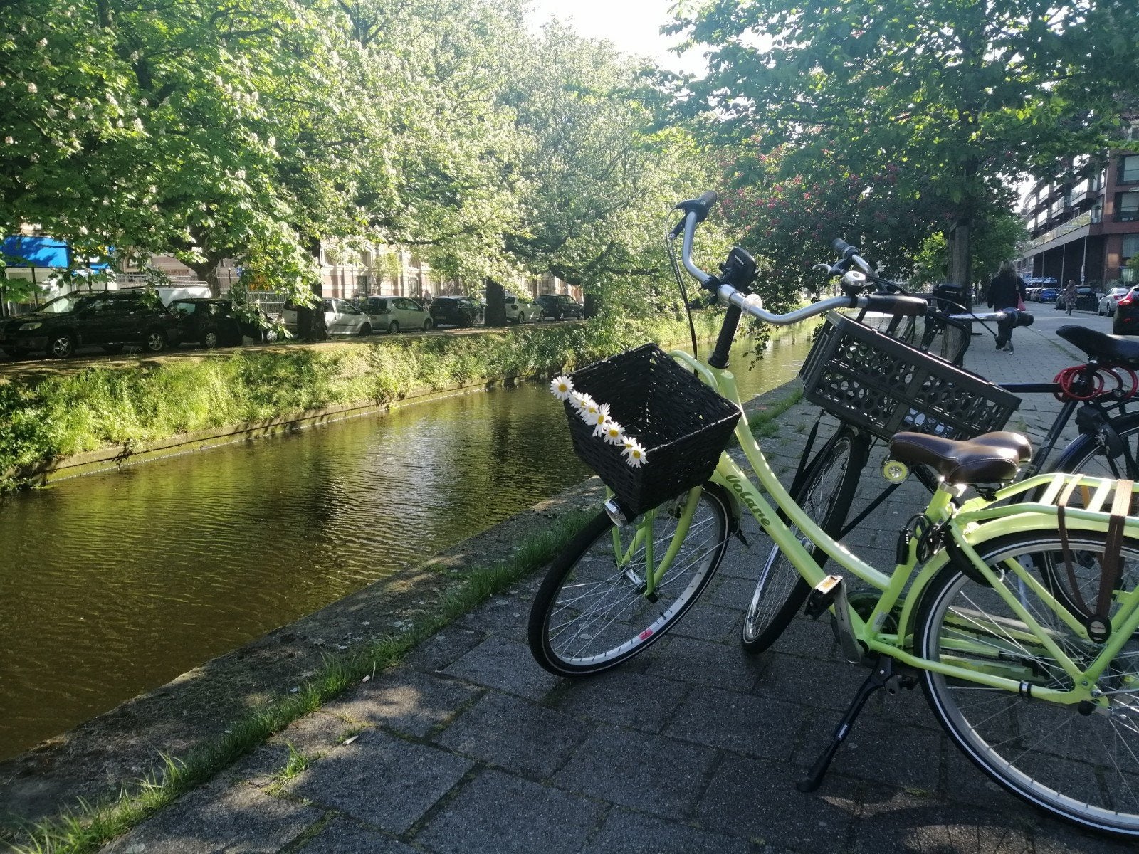Volare Damesfiets - Frisse Groen/Lichtgroene Kleur, Fietsen en Brommers, Ophalen, Overige merken