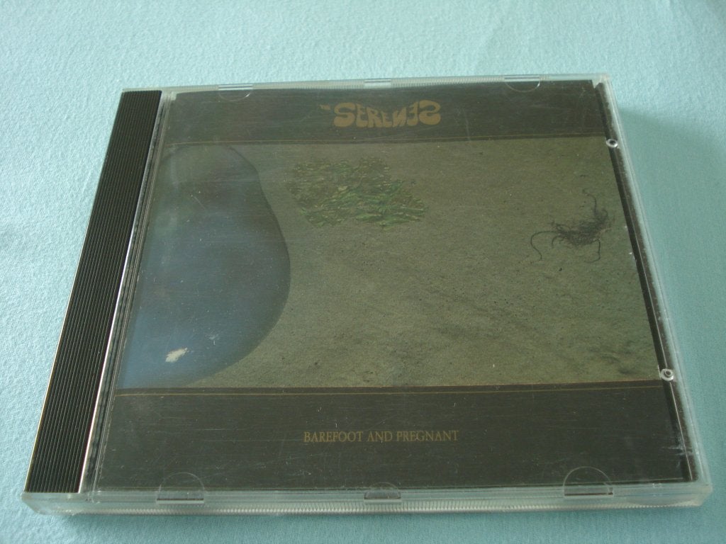 THE SERENES - BAREFOOT AND PREGNANT indie, Cd's en Dvd's, Cd's | Rock, Ophalen of Verzenden, Zo goed als nieuw, Indie Rock, Album