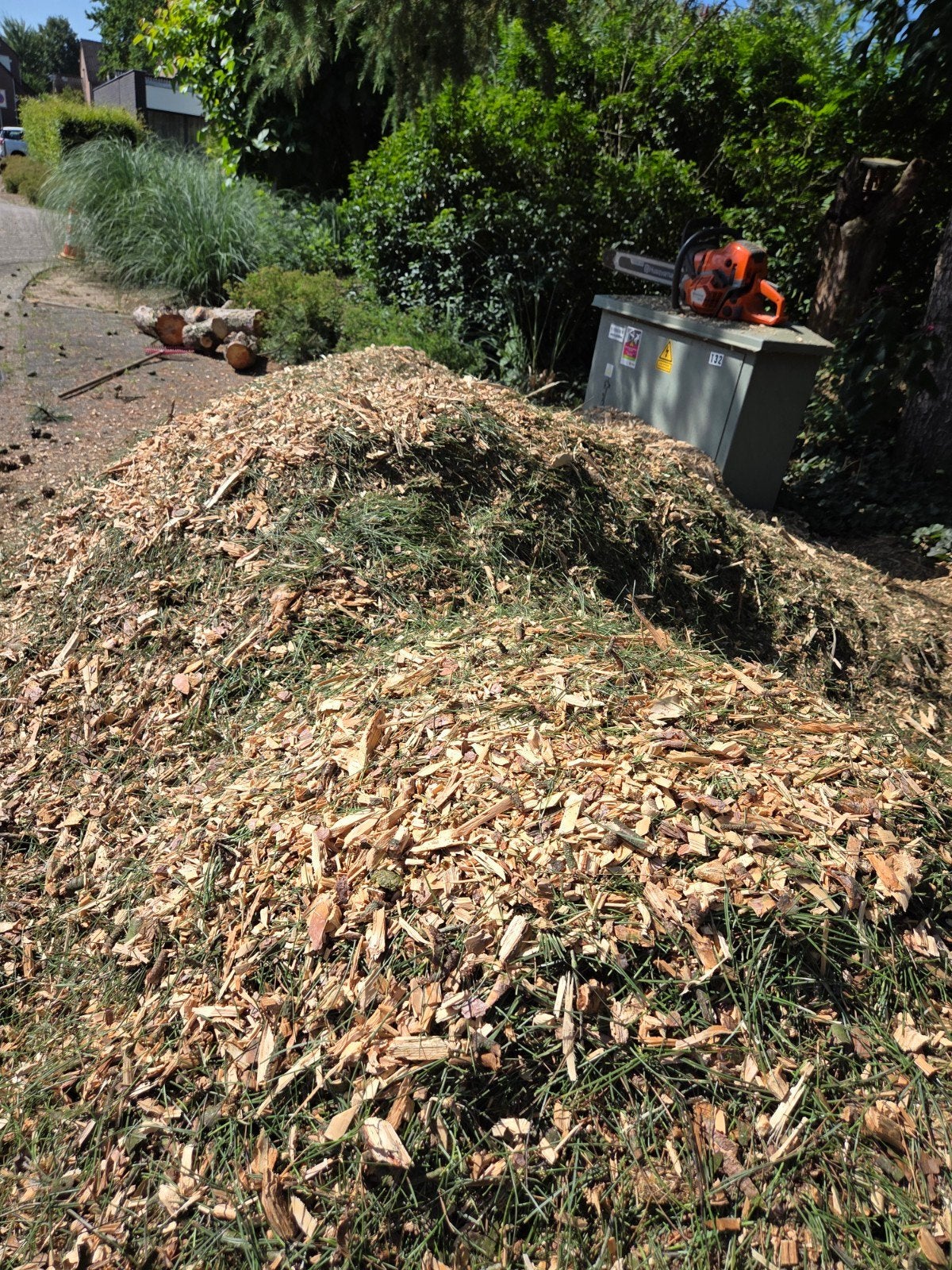 Houtsnippers denneboom voor tuin, Ophalen of Verzenden, Gebruikt, Overige typen