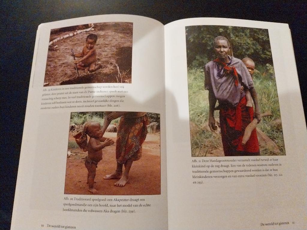 Jared Diamond - De wereld tot gisteren - Wat we kunnen leren, Ophalen of Verzenden, Gelezen