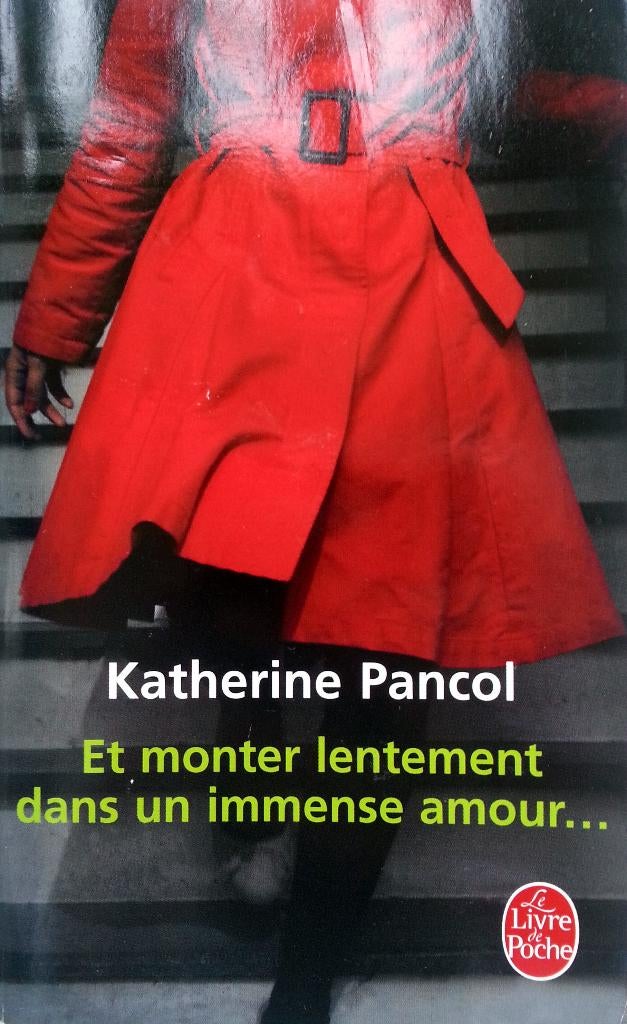 Katherine Pancol - Et monter lentement dans un immense amour, Boeken, Ophalen of Verzenden, Zo goed als nieuw, Fictie