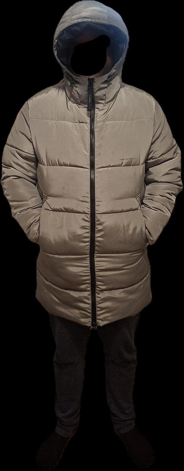 Heren winterjas Daily Aesthetikz, Ophalen of Verzenden, Zo goed als nieuw, Overige maten, Daily Aesthetikz