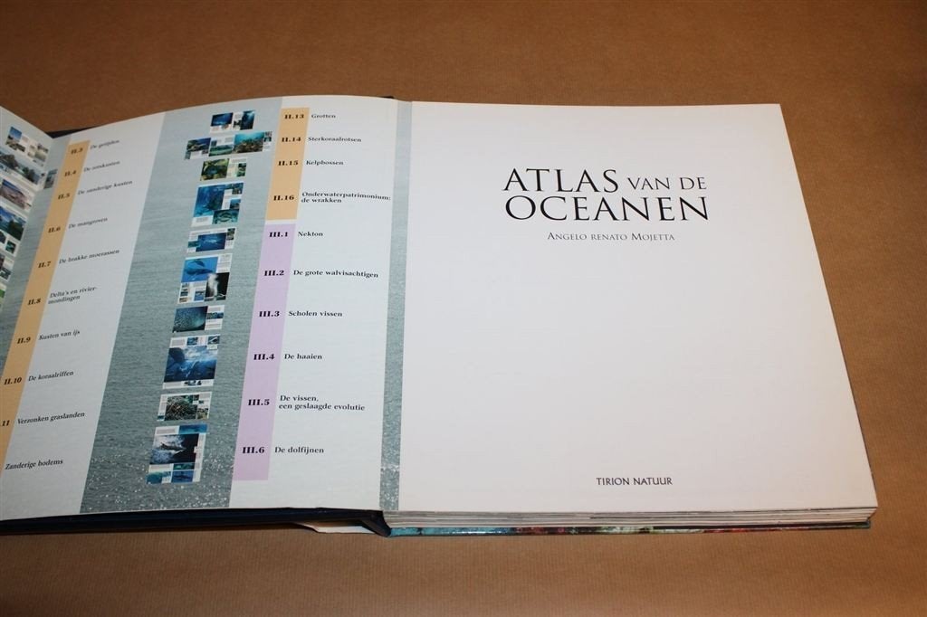Atlas van de Oceanen — Zeeleven met Uitvouwbare Bladzijden, Ophalen of Verzenden, Gelezen, Vogels