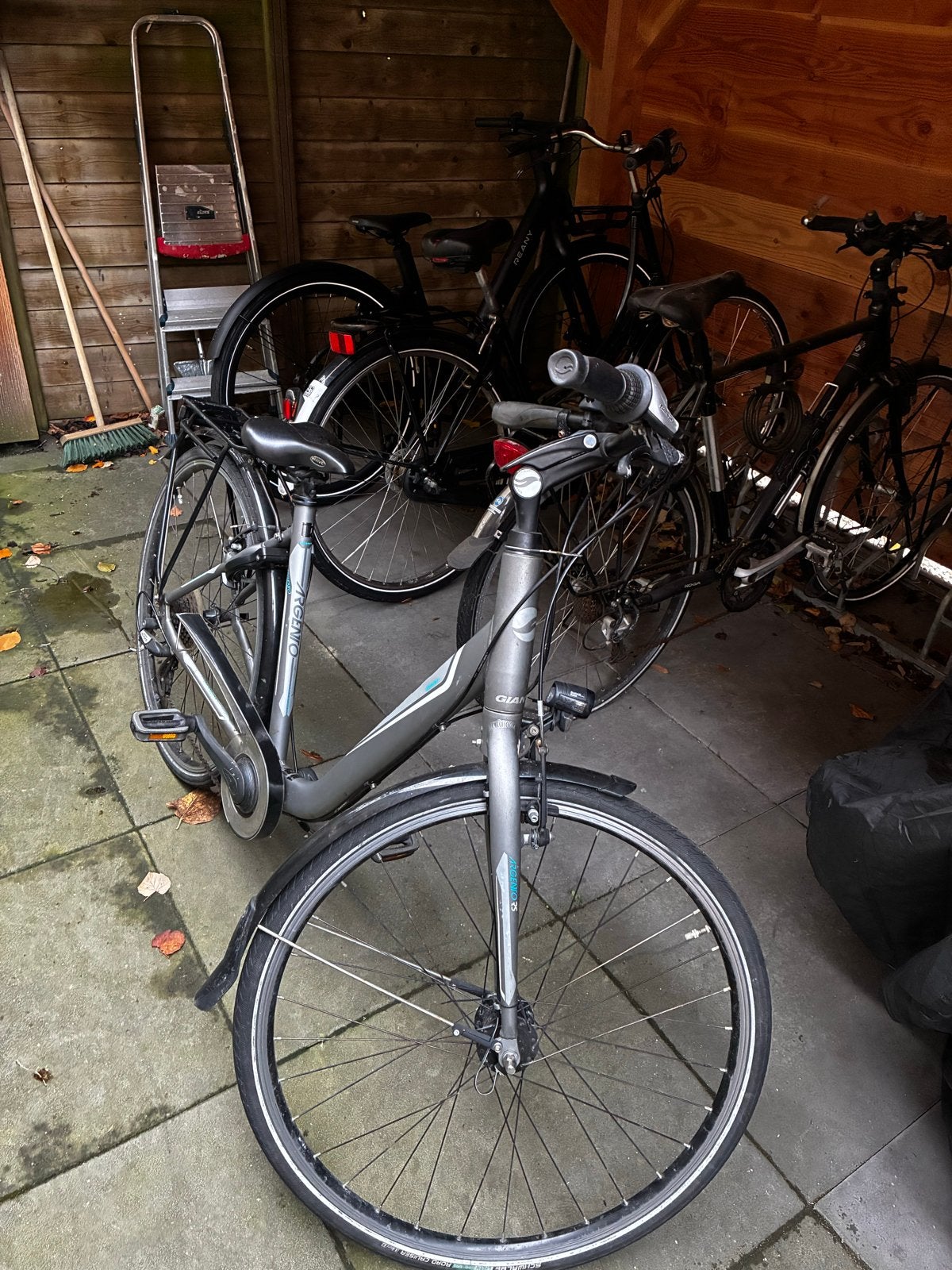 Giant Argento damesfiets, Ophalen, 53 tot 56 cm, Velgrem, Versnellingen