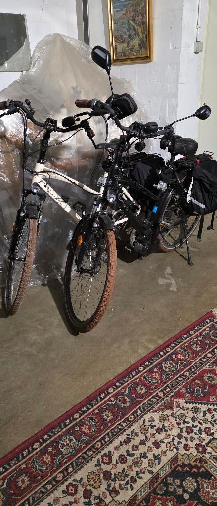 Speedpadelec, Fietsen en Brommers, Zo goed als nieuw, 51 tot 55 cm, 50 km per accu of meer, Ophalen