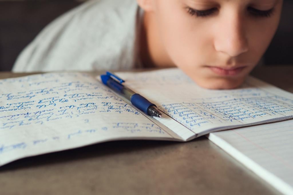 Dyslexiezorg Amsterdam. Thuishulp groep 5 t/m 8 45 euro, Bijles