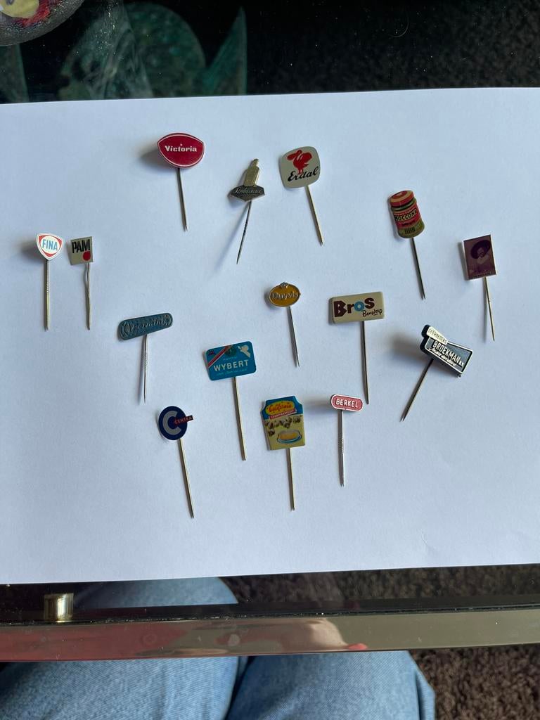 Vintage jaren ‘60 speldjes set 1, Verzamelen, Speldjes, Pins en Buttons, Ophalen of Verzenden, Zo goed als nieuw, Overige onderwerpen