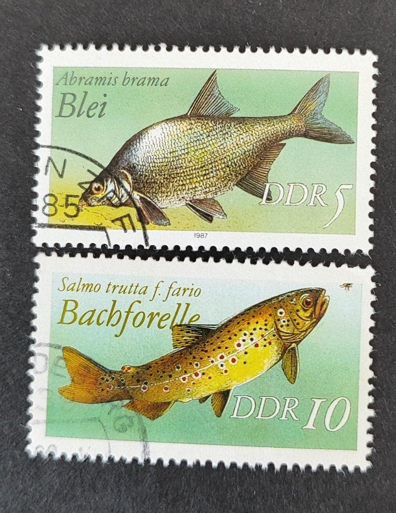 DDR 3005002 vis, Verzenden, Gestempeld, Dier of Natuur
