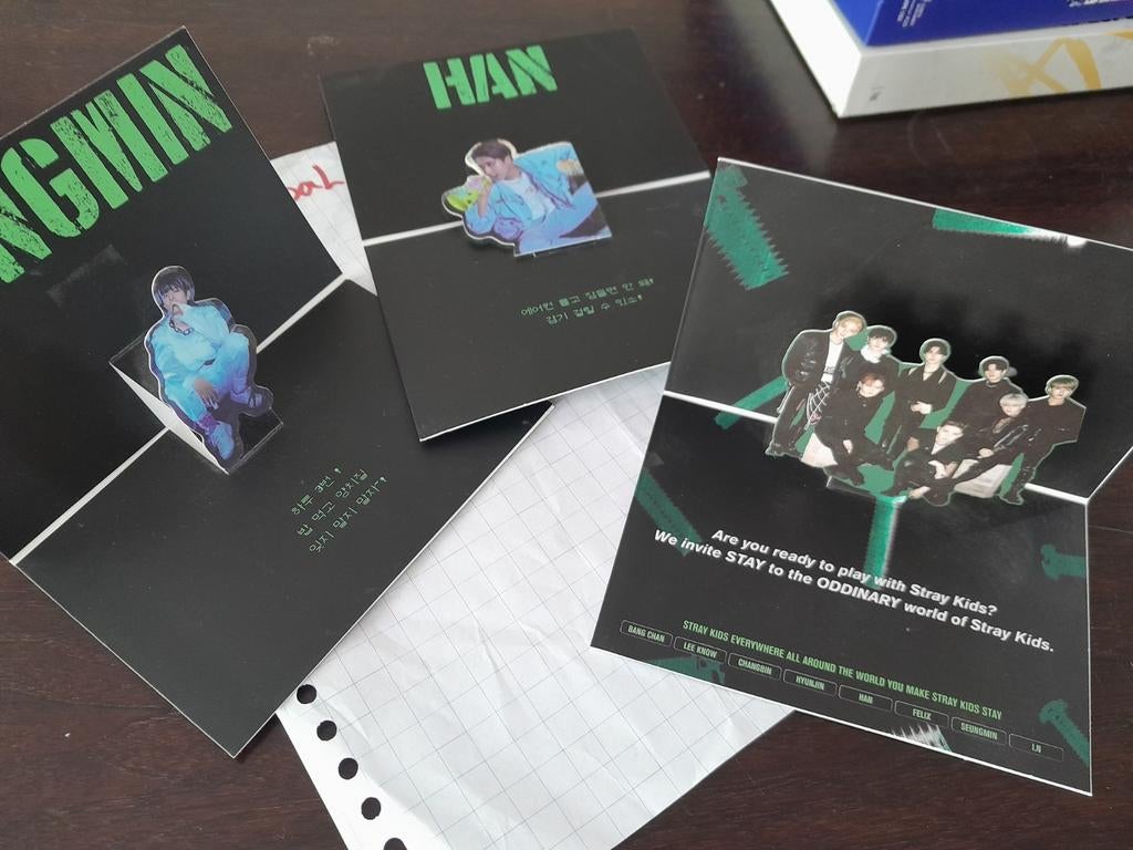 K-pop set straykids standee, Ophalen of Verzenden, Zo goed als nieuw, Pop, Beeldje of Miniatuur