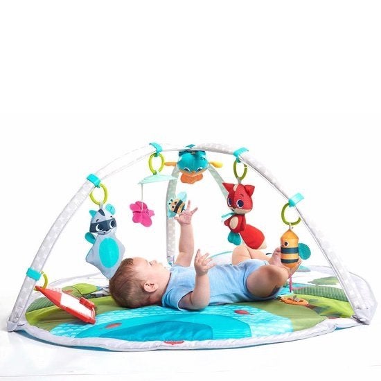 Tiny Love Dynamic baby gym, Ophalen, Zo goed als nieuw