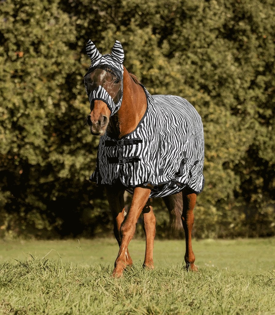 waldhausen vliegendeken zebra met buikflap 135/185 145/195, Overige merken, Nieuw, Ophalen of Verzenden, Nieuweweg 61A 8391KR Noordwolde