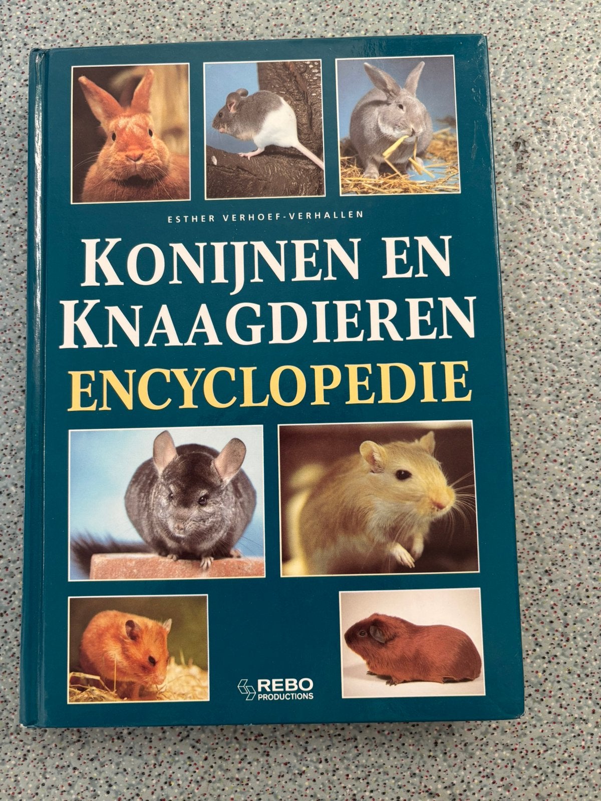 Esther Verhoef Konijnen en Knaagdieren Encyclopedie, Ophalen of Verzenden, Zo goed als nieuw, Konijnen of Knaagdieren, Esther Verhoef-Verhallen