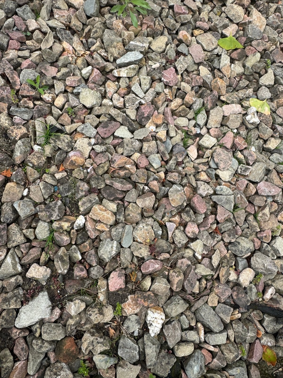 GRATIS.   Grind en Split voor Tuin of Oprit, Tuin en Terras, Grind, Keien en Split, Ophalen, Gebruikt, Multi, Grind