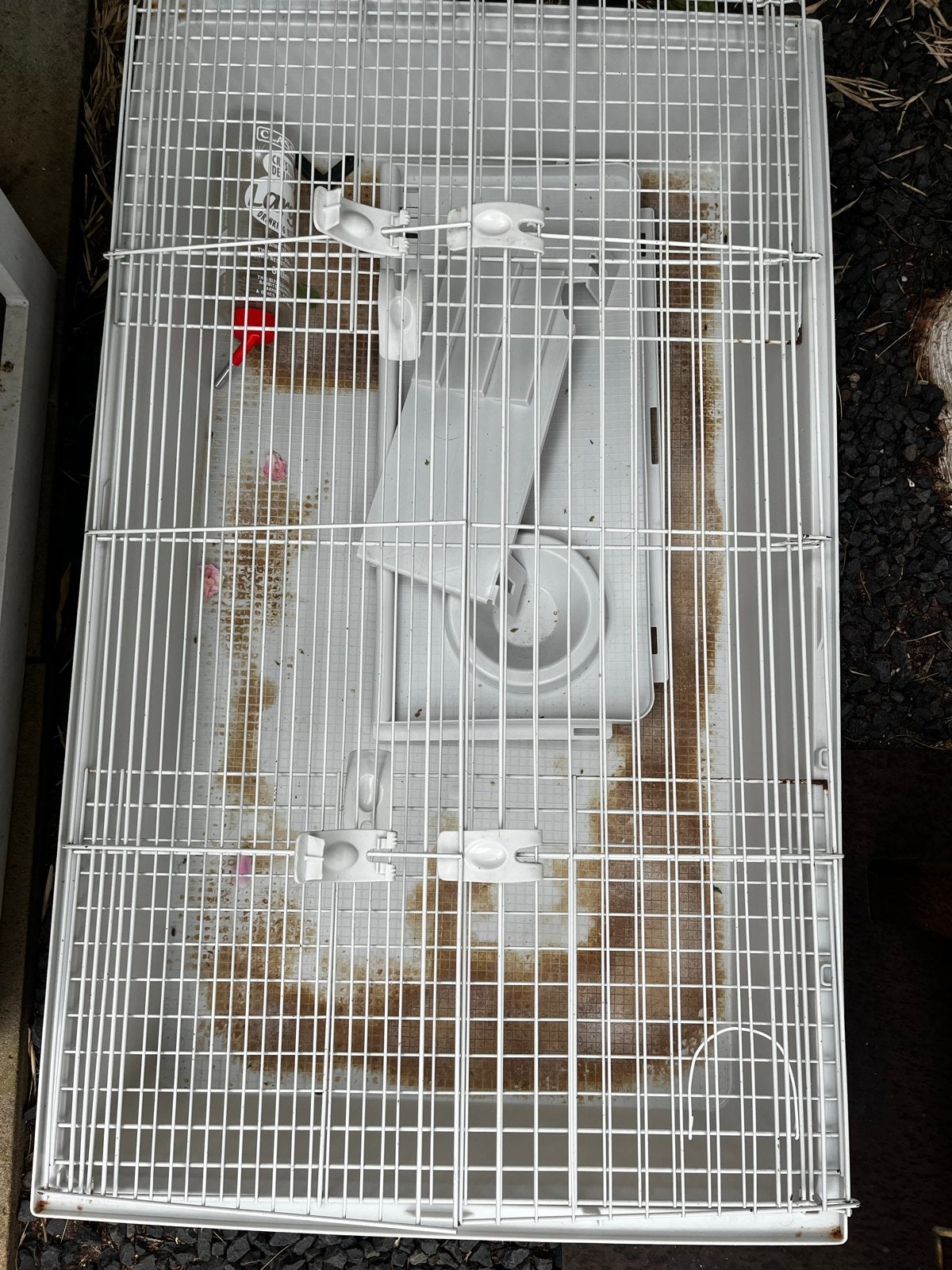Cavia kooi, Kooi, Gebruikt, Cavia, Ophalen