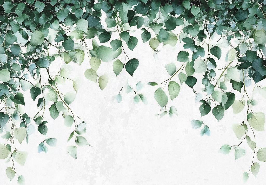 Hangende Eucalyptus bladeren fotobehang, ook op maat, Huis en Inrichting, Stoffering | Behang, Verzenden