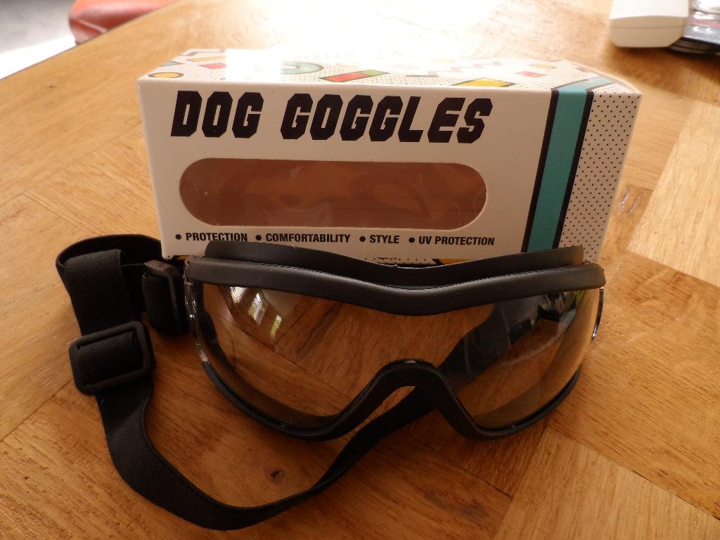 honden bril dog goggles,transparant glas,kunststof, Ophalen of Verzenden, Nieuw, Hondenbril