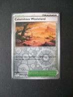 1445. Nieuwe Pokemon Kaart holofoil CALAMITOUS WASTELAND, Verzenden, Nieuw, Losse kaart, Foil