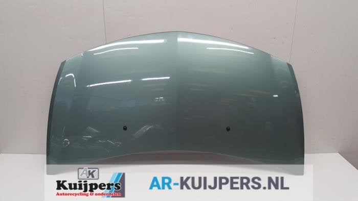 Motorkap van een Renault Clio (TED97), Auto-onderdelen, Gebruikt, -, Renault, -