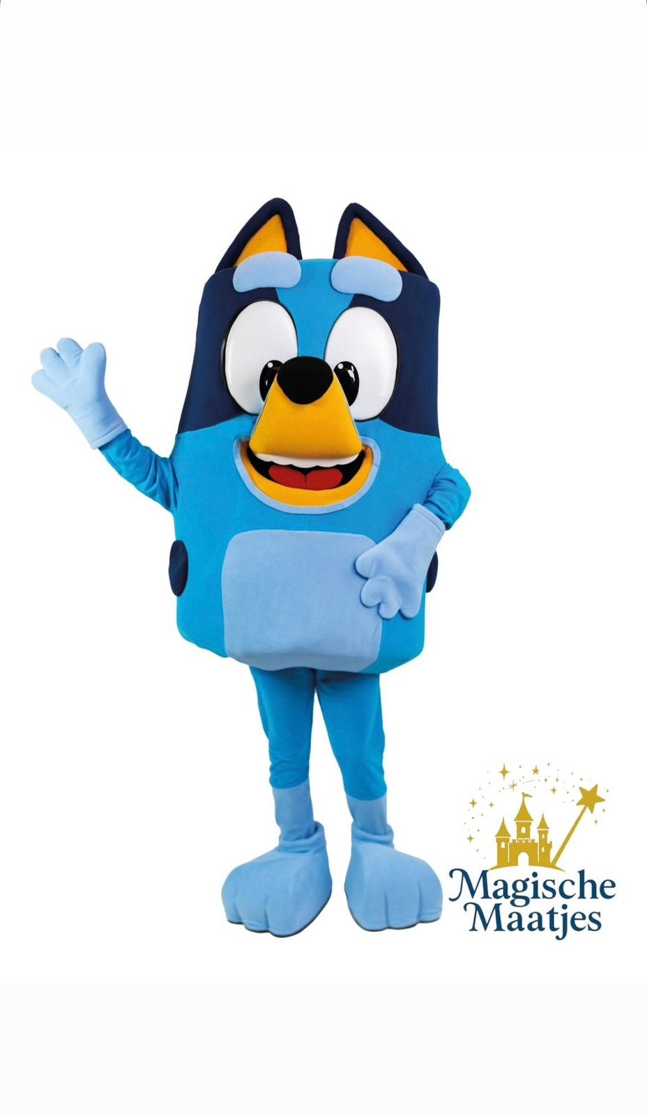 Bluey mascotte, Ophalen of Verzenden, Zo goed als nieuw, Verjaardag