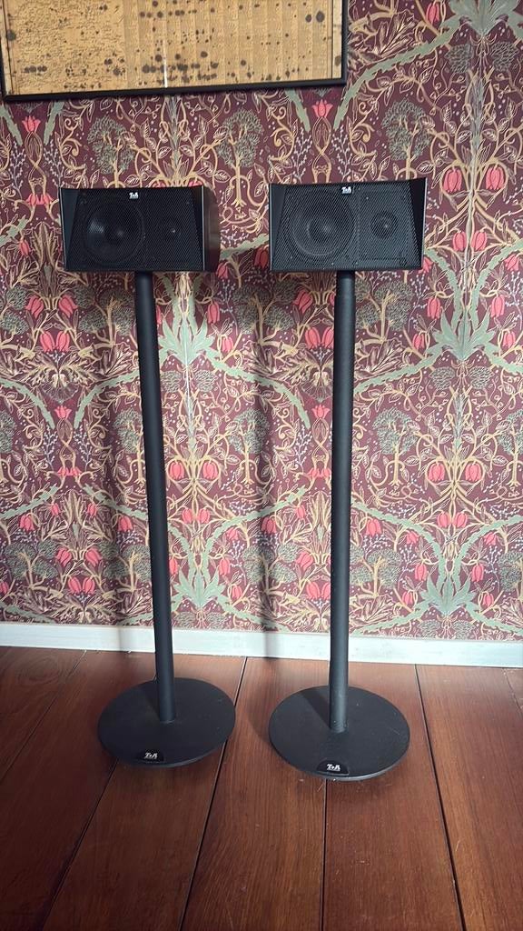 T+A Helios mini, op zware standaard. Zwart 2 stuks., Overige merken, Gebruikt, Overige typen, Ophalen of Verzenden
