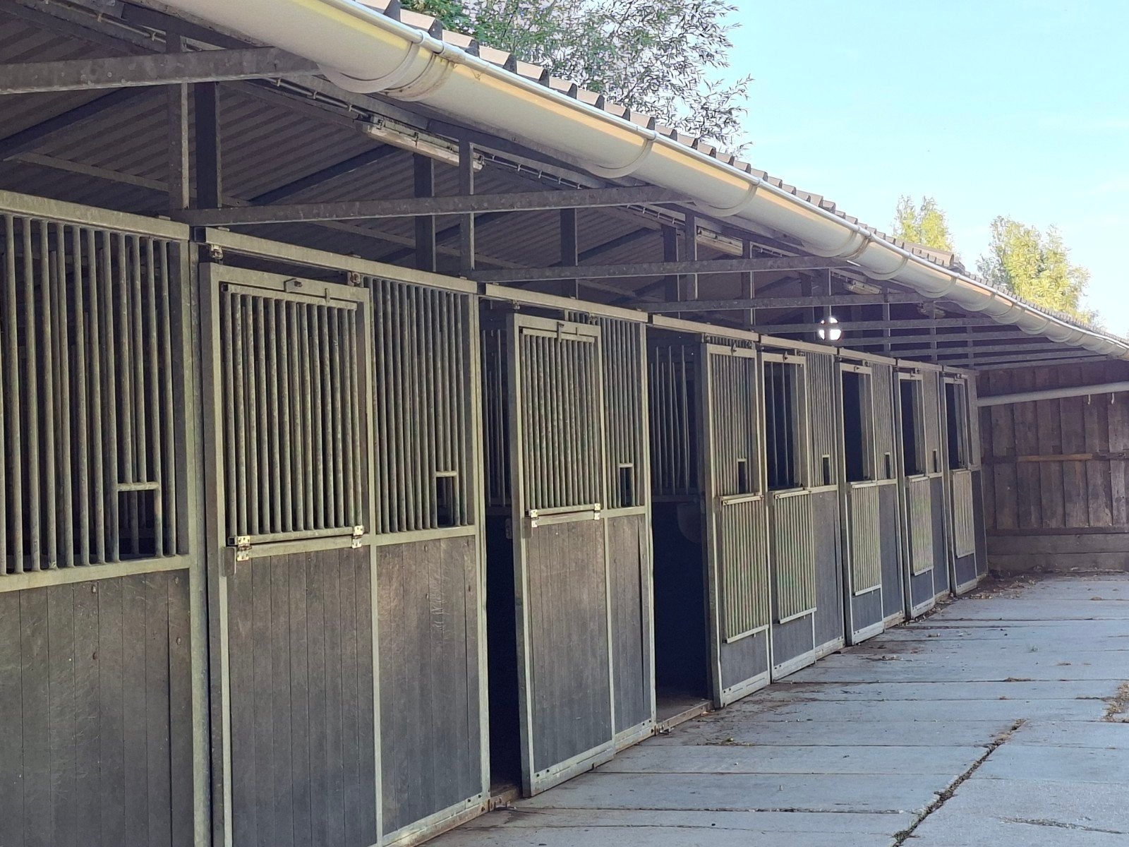 Th, Enkele stallen en 24/7 plekken., Dieren en Toebehoren, Stalling en Weidegang