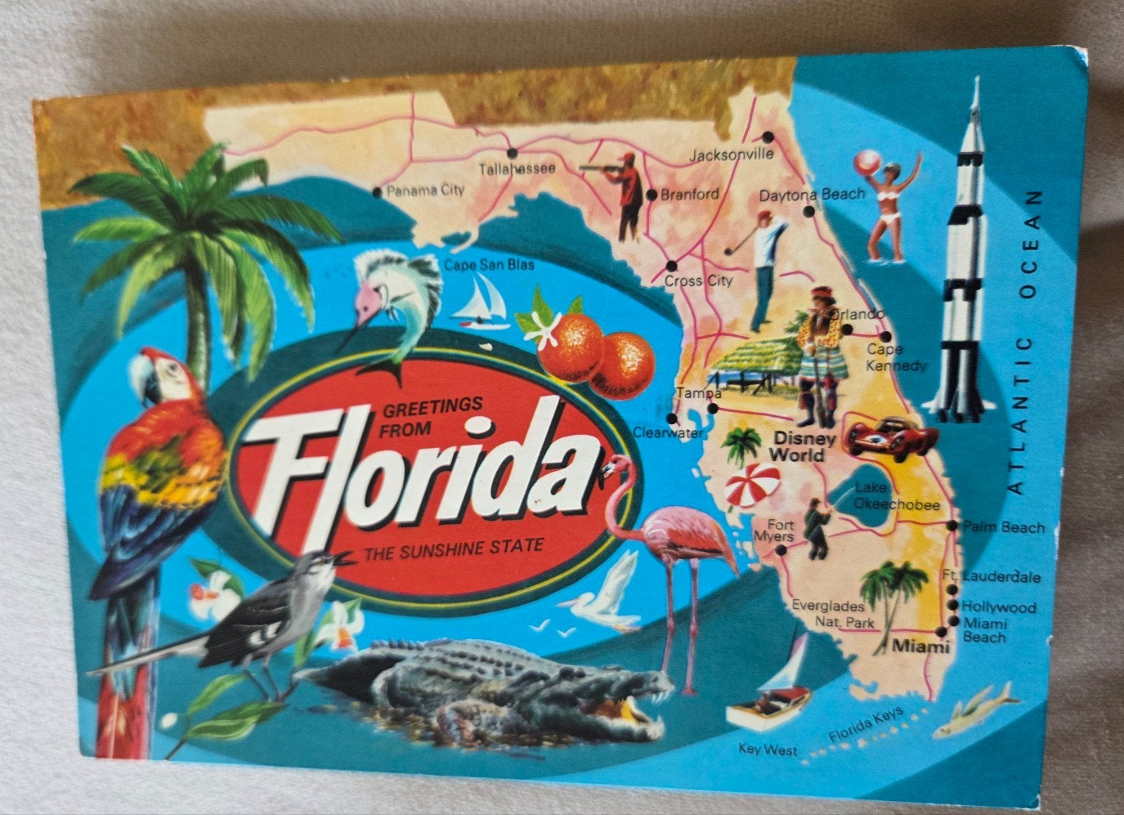 Vintage Ansichtkaart Florida USA, Verzenden, 1980 tot heden, Gelopen, Buiten Europa
