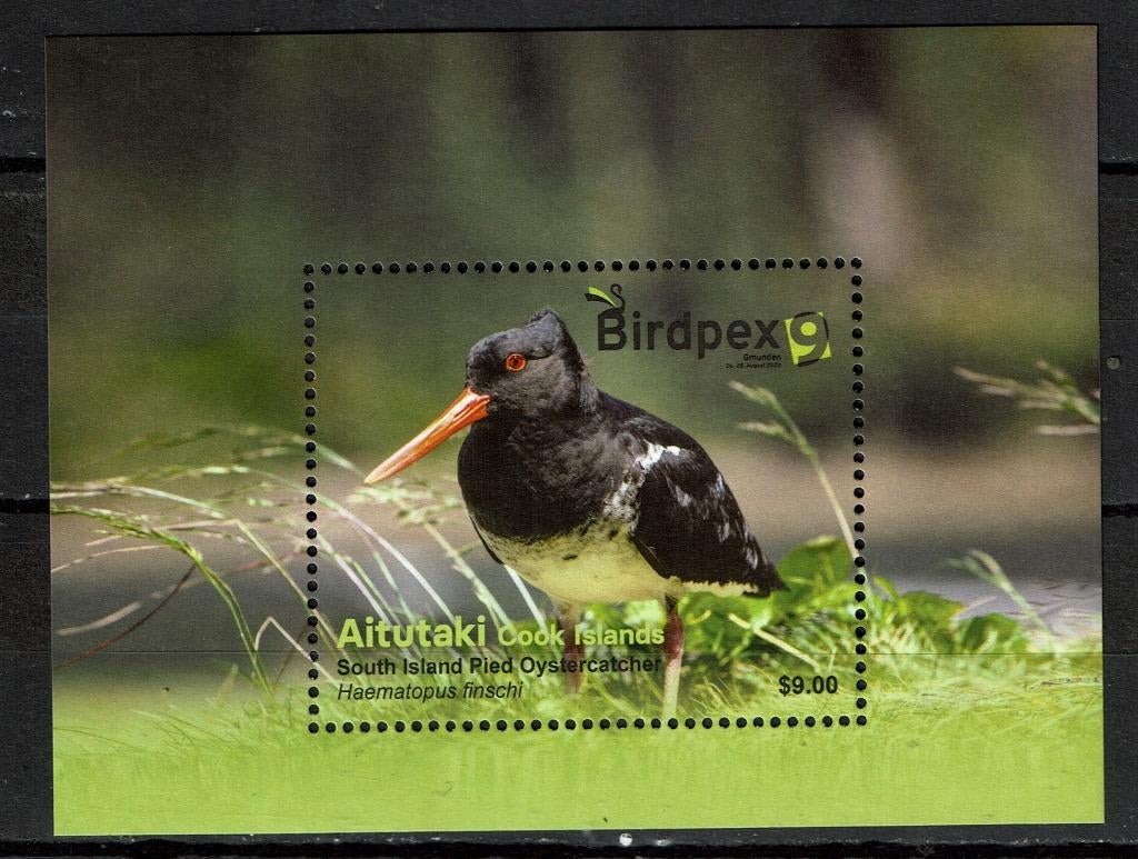 AITUTAKI 2020 PF BLOK SCHOLEKSTER VOGELS BIRDS BIRDPEX, Ophalen of Verzenden, Postfris, Dier of Natuur
