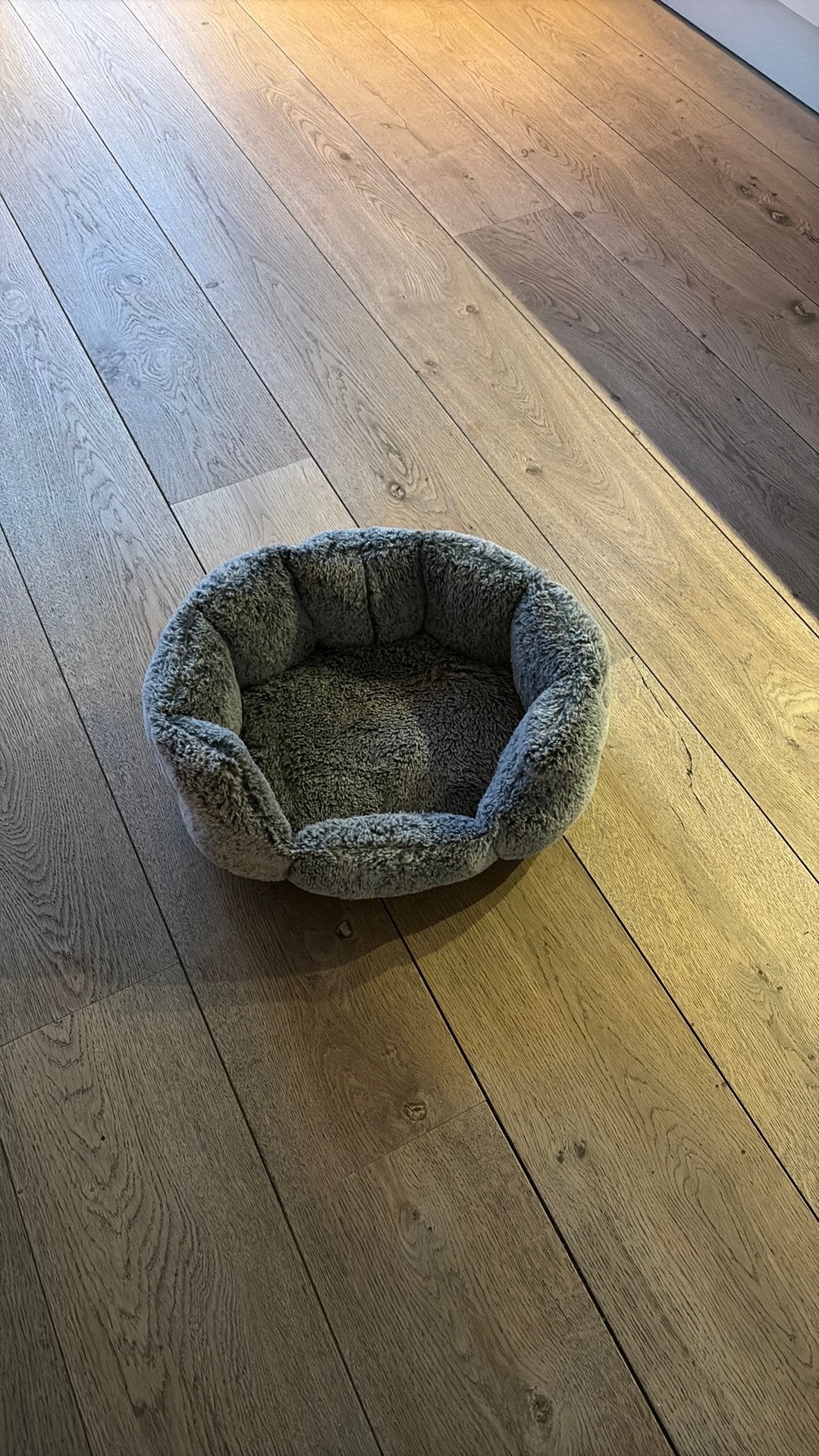 Honden- of kattenmand, Ophalen of Verzenden, Zo goed als nieuw, Overige