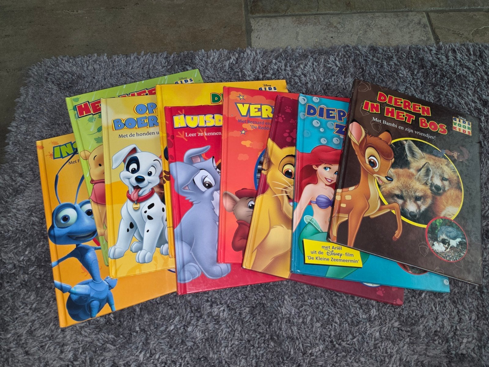 Disney gids voor kids, Ophalen, Gelezen, Walt Disney Company, Non-fictie