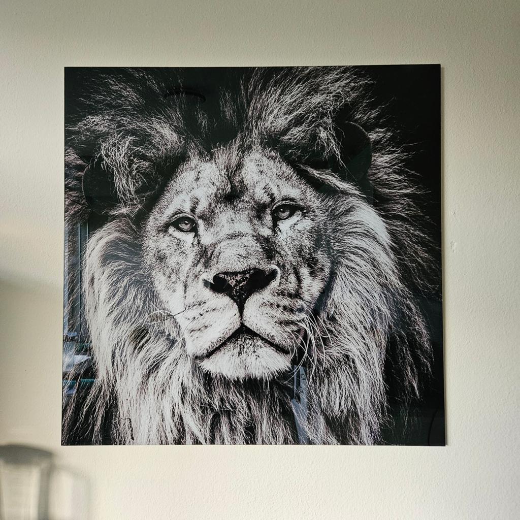 Glas schilderij leeuw - Zo goed als nieuw, Ophalen, 50 tot 75 cm, Zo goed als nieuw, Schilderij