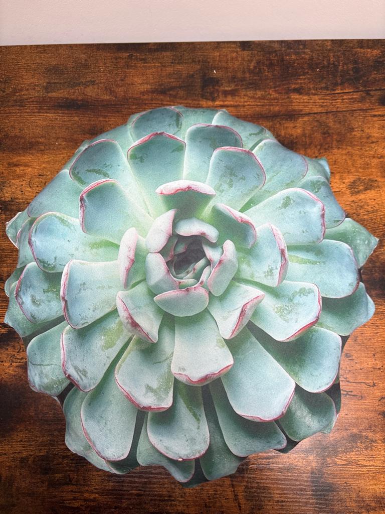 Decoratief Kussen - Zo goed als nieuw, Ophalen, Zo goed als nieuw, Groen, Rond