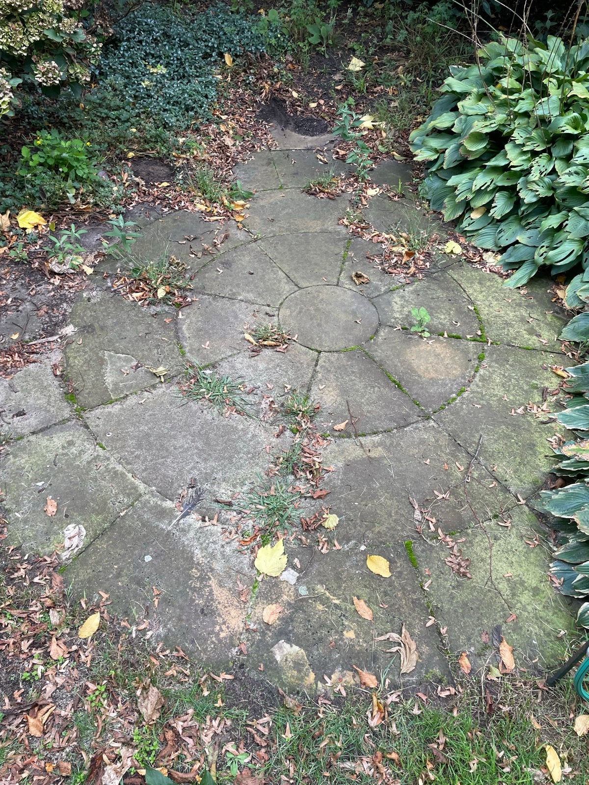 Gebruikte terrastegels, rond patroon, natuursteen, Ophalen, Gebruikt, Terrastegels, Natuursteen