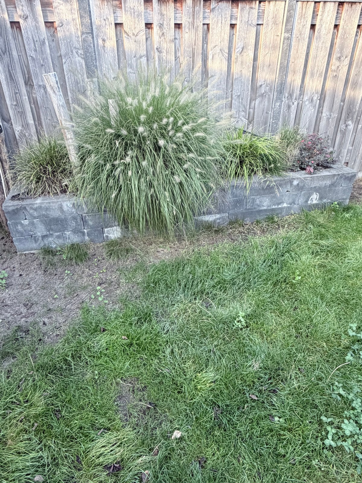 Getrommelde stapelblokken antraciet - ca. 60 stuks, Tuin en Terras, Ophalen of Verzenden, Gebruikt, Beton, Blok