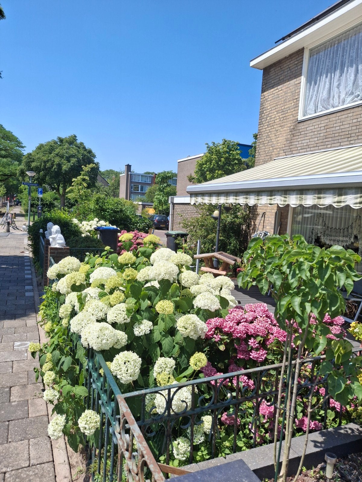 gevraagd piepschuim rond dordrecht, Ophalen of Verzenden