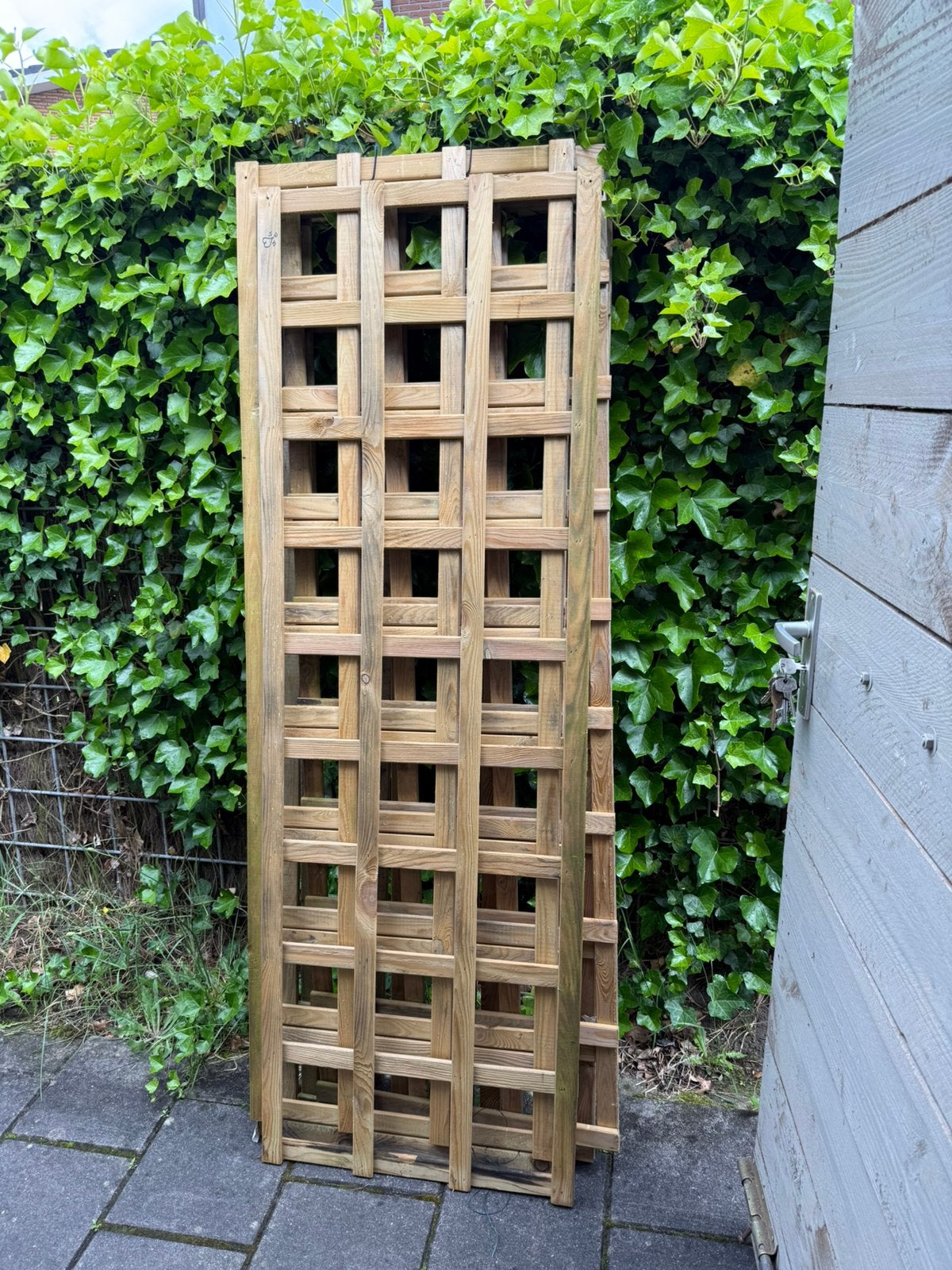 Trellisscherm grenen hout 180 x 60, Ophalen, Hout, Tuinhek