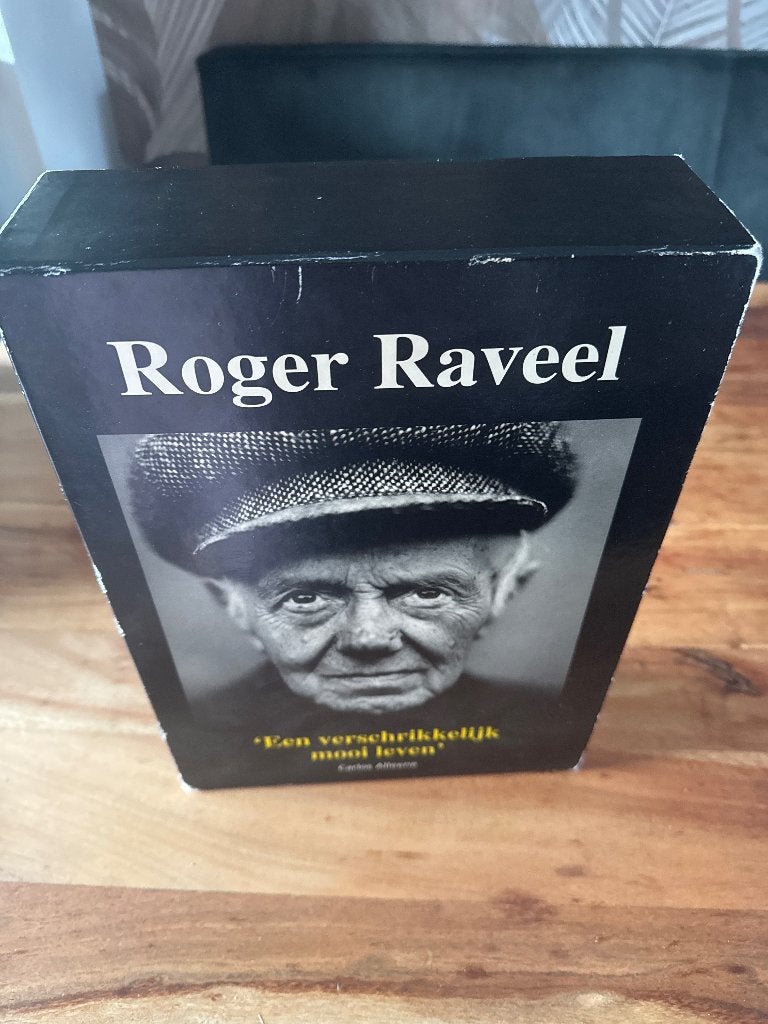 Roger Raveel - Een verschrikkelijk mooi leven, Ophalen of Verzenden, Gelezen