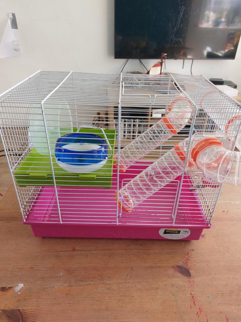 Hamsterkooi, Dieren en Toebehoren, Ophalen, Minder dan 75 cm, Kooi, Minder dan 60 cm