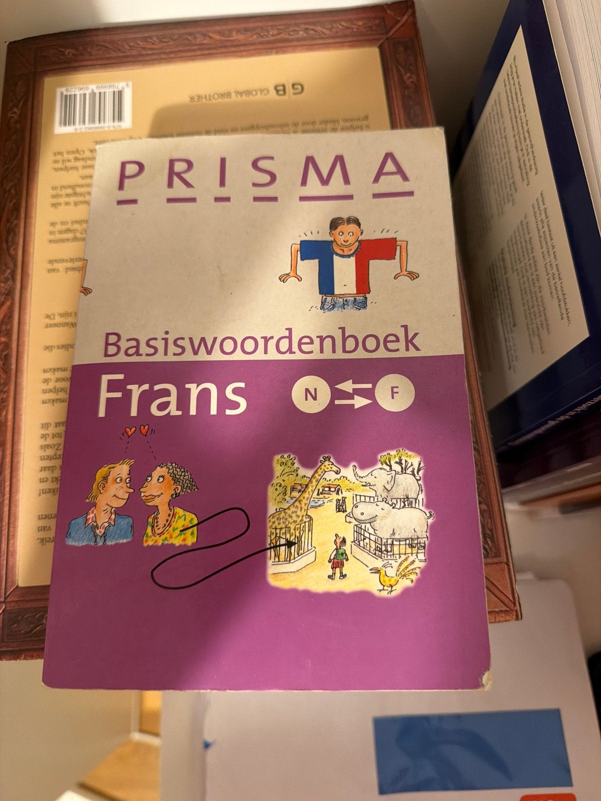 Prisma Basiswoordenboek Frans (N-F), Boeken, Ophalen of Verzenden, Zo goed als nieuw, Non-fictie
