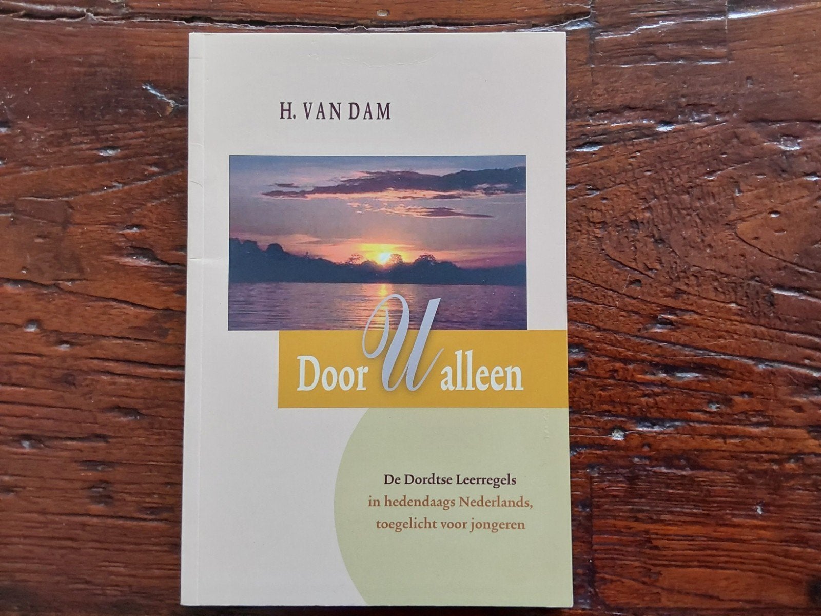 Door U Alleen - De Dordtse Leerregels - H. van Dam, Boeken, Ophalen