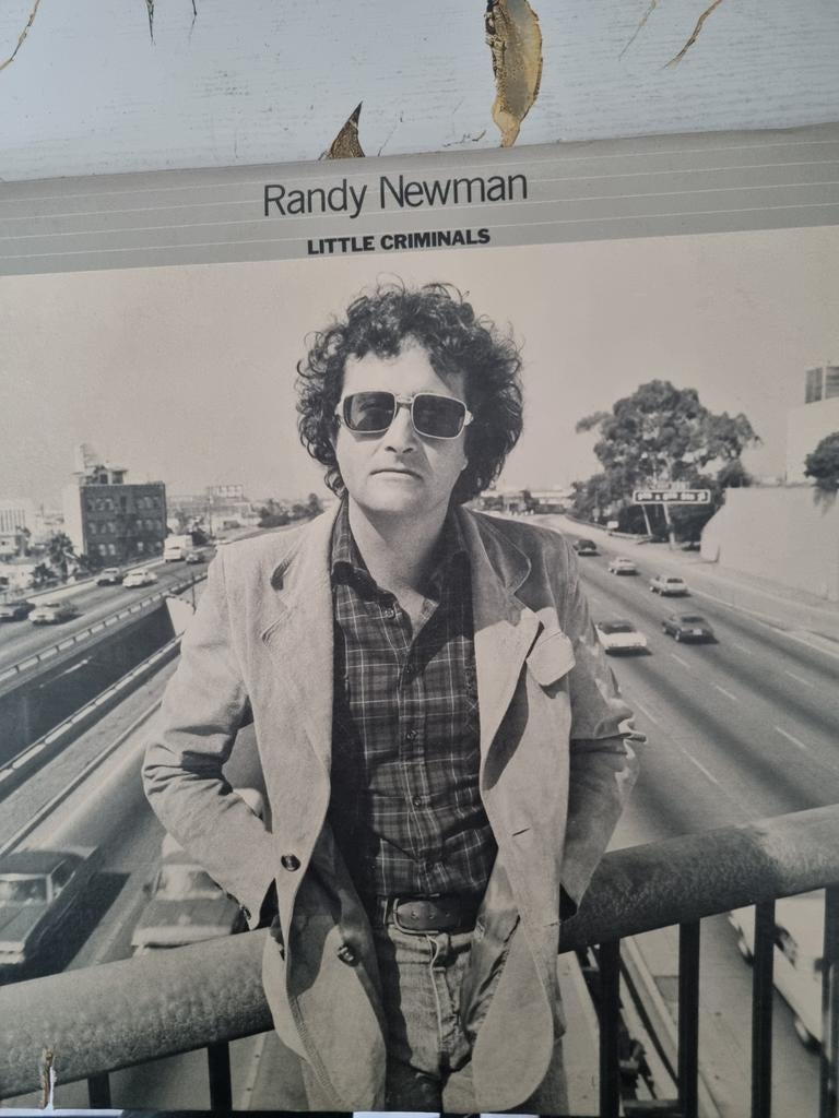 Randy mewman little criminals vinyl, Ophalen of Verzenden, Gebruikt, 12 inch, Poprock